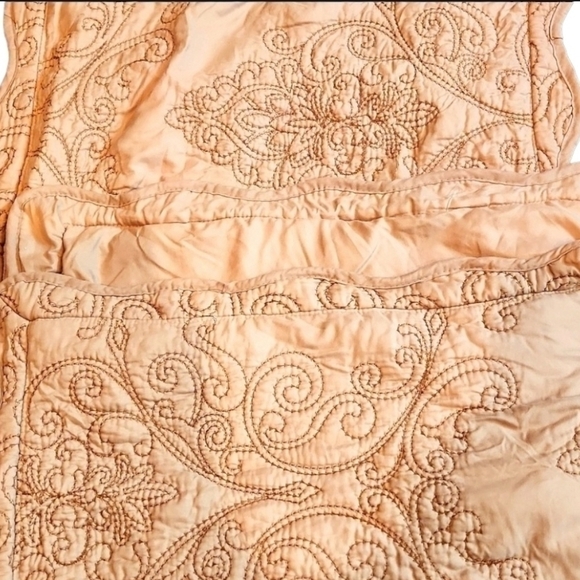 Gold/tan Colored Embroidered Pillow Shams - Picture 6 of 7